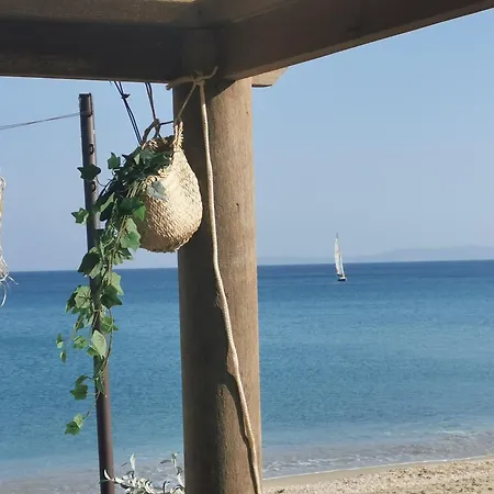 D'azur 2 311 Climatise *